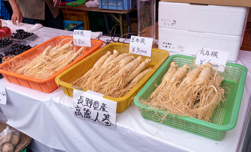 高麗人参のとは 国産高麗人参